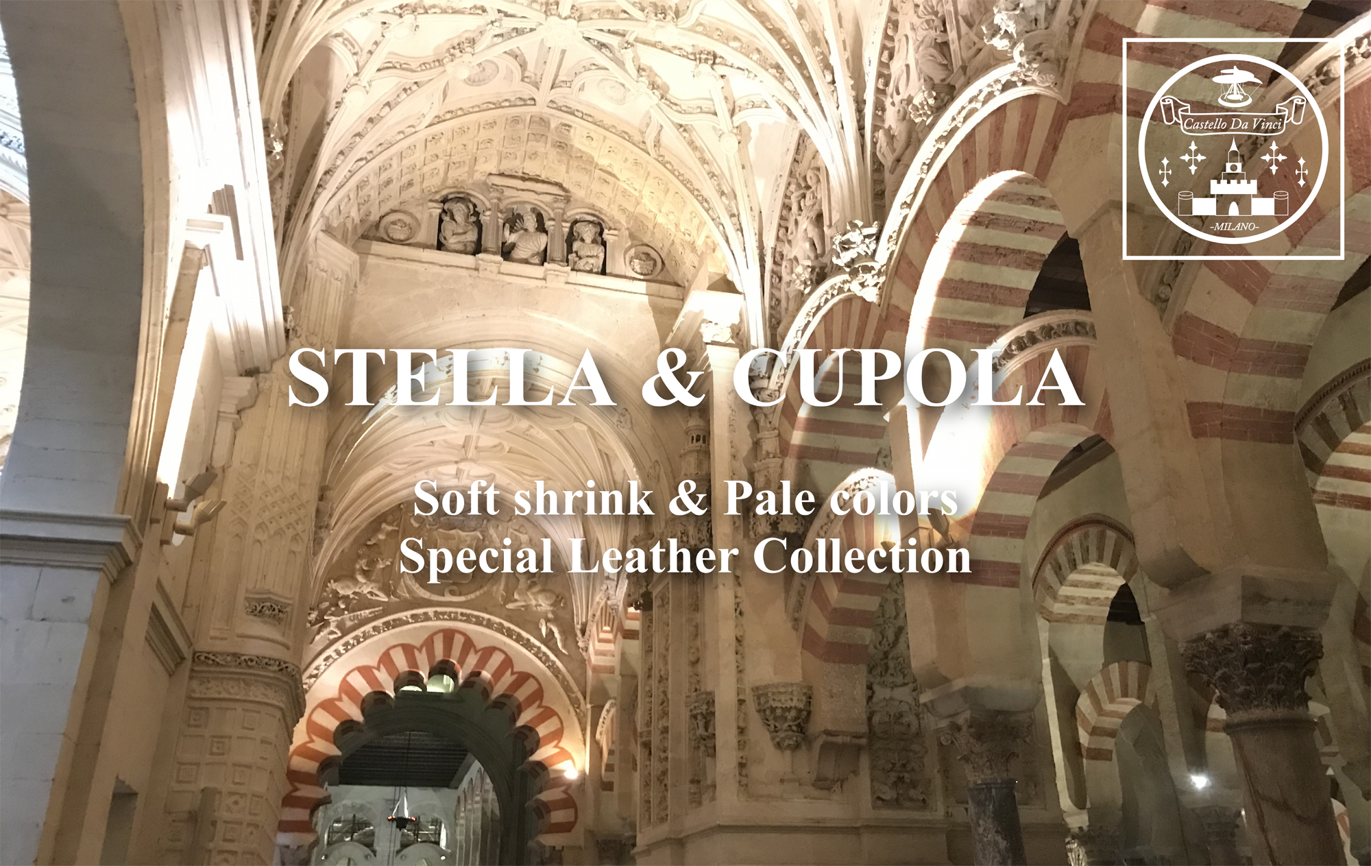 7487_stella_cupola_seriesimg_duomo.jpg